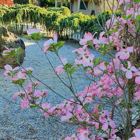 Casa Da Agra Hébergement de vacances